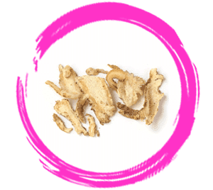 Confinement Herbs – Chinese Angelica Root (Dang Gui)