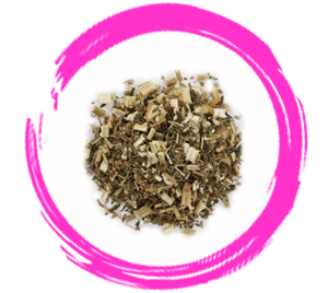 Confinement Herb – Chinese Motherwort