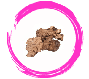 Confinement Herb – Chuan Xiong (Lovage Root)