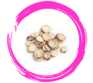 Confinement Herb – White Dahlia Root