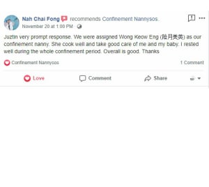 Confinement Nanny Review By Wong