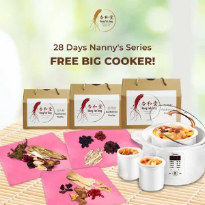 28 Days Nanny Series Confinement Herbal